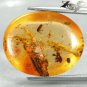 12.07 CT.Natural Oval 19*23 mm. Mosquito Spider Insect Fossils Yellow Copal Gems