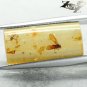 5.04 CT.Natural Square 7*9 mm. Perfect Fly Insect Fossils Inside Yellow Copal