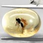 7.58 CT.Natural Oval 13*18 mm Perfect Big Mosquito Fossil Inside Yellow Copal 柯巴