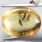 7.58 CT.Natural Oval 13*18 mm Perfect Big Mosquito Fossil Inside Yellow Copal &aelig;�&macr;&aring;&middot;&acute;