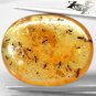 19.04 CT.Natural Oval 23*30 mm. Insect Fossil Inside Whole Brandy Yellow Copal