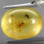 4.57 Ct.Natural Oval 12*15 mm. Insect Fossil Canary Yellow Madagascar Copal Gems