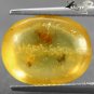 4.57 Ct.Natural Oval 12*15 mm. Insect Fossil Canary Yellow Madagascar Copal Gems