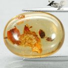 13.19 CT.Natural Cushion 17.5*23.5 mm. Perfect Moth Fossil Intense Yellow Copal