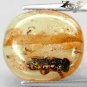 4.87 CT.Natural Oval 14.5*17 mm. Perfect Bee Fossil Inside Madagascar Copal Gem