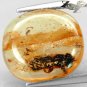 4.87 CT.Natural Oval 14.5*17 mm. Perfect Bee Fossil Inside Madagascar Copal Gem