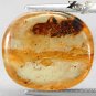 4.87 CT.Natural Oval 14.5*17 mm. Perfect Bee Fossil Inside Madagascar Copal Gem