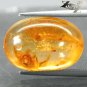 7.24 CT.Natural Oval 14*20 mm. Spider Fossil Inside Intense Brandy Yellow Copal
