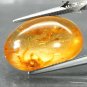 7.24 CT.Natural Oval 14*20 mm. Spider Fossil Inside Intense Brandy Yellow Copal