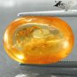 7.24 CT.Natural Oval 14*20 mm. Spider Fossil Inside Intense Brandy Yellow Copal