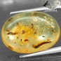 8.1 Ct.Natural Oval 17*22 mm. Insect Fossil Inside Yellow Madagascar Copal