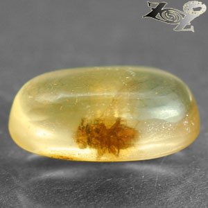 3.57 Ct.Natural Oval 10*17 mm. Perfect Fly Fossils Inside Yellow Madagascar Copal