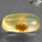 3.57 Ct.Natural Oval 10*17 mm. Perfect Fly Fossils Inside Yellow Madagascar Copal