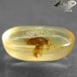 3.57 Ct.Natural Oval 10*17 mm. Perfect Fly Fossils Inside Yellow Madagascar Copal