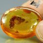 21.3 Ct.Rare Size Natural Oval 22*29 mm. Butterfly Fossil inside Yellow Gems