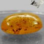 12.24 Ct.Natural Oval 15*23 mm. Insect Fossils Yellow Madagascar Copal NR Gems