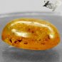 12.24 Ct.Natural Oval 15*23 mm. Insect Fossils Yellow Madagascar Copal NR Gems