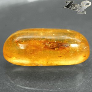 10.51 Ct.Natural Oval 11*26 mm. Perfect Mayfly Fossils Inside Yellow Mada Copal