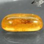 10.51 Ct.Natural Oval 11*26 mm. Perfect Mayfly Fossils Inside Yellow Mada Copal