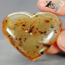 55.62 Ct.Natural Heart 37*40 mm. Perfect Insect Fossil Inside Yellow Copal