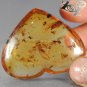 55.62 Ct.Natural Heart 37*40 mm. Perfect Insect Fossil Inside Yellow Copal