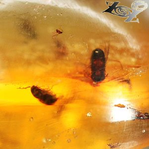 22.04 Ct.Rare Natural Oval 22*27 mm. Mayfly Insect Fossils Inside Yellow Copal