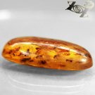9.11 Ct. Big Size Natural Oval 14*28 mm. Insect Fossil Inside Yellow Gems