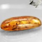 9.11 Ct. Big Size Natural Oval 14*28 mm. Insect Fossil Inside Yellow Gems