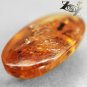 9.11 Ct. Big Size Natural Oval 14*28 mm. Insect Fossil Inside Yellow Gems