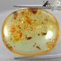 12.94 Ct.Natural Oval 21*24 mm. Spider Insect Fossil Inside Yellow Copal