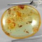 12.94 Ct.Natural Oval 21*24 mm. Spider Insect Fossil Inside Yellow Copal