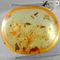 12.94 Ct.Natural Oval 21*24 mm. Spider Insect Fossil Inside Yellow Copal