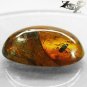 20.47 Ct.Natural Oval Cabochon 21*31 mm Insect Spider Fossil inside Yellow Copal