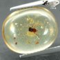 3.2 CT.Natural Oval 12*14.5 mm Perfect Insect Fossils Inside Brandy Yellow Copal