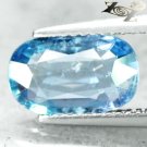 2.81 CT.Unheated Firely Natural Oval 7*11.5 mm. Tanga Shakespeare Blue Sapphire