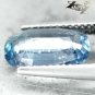 2.81 CT.Unheated Firely Natural Oval 7*11.5 mm. Tanga Shakespeare Blue Sapphire