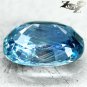 4.6 CT.Firely Unheated Natural Oval 7.5*11.5 mm. Intense Blue Tanga Sapphire Gem
