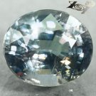 3.14 Ct.Full Fire Unheated Natural Oval 8*9 mm. Bright Green Blue Sapphire 藍色藍寶石