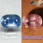 6.2 CT.Unheated Natural Oval 8*12 mm Intense Cornflower Blue Color Change Sapphire