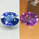 2.77 Ct.Unheated Natural Oval 7*9 mm Vivid Cornflower Blue Color Change Sapphire