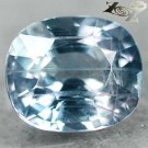 2.64 Ct.Full Fire Unheated Natural Oval 7*8.5 Moderate Greenish Blue Sapphire