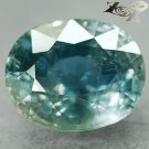 14.3 Ct.Unheated Full Fire Natural Oval 12*14.5 Intense Greenish Blue Sapphire