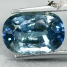 8.33 Ct.Full Fire Unheated Natural Cushion 9.5*14 Moderate Blue Tanga Sapphire