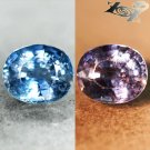 Firely Unheated Natural Oval 6*7.3 mm Tanga Intense Blue Sapphire 1.68 Ct.