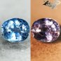 Firely Unheated Natural Oval 6*7.3 mm Tanga Intense Blue Sapphire 1.68 Ct.