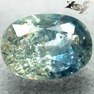 6.52 CT.Unheated Natural Oval 9.5*13 mm. Intense Silver Blueish Green Sapphire