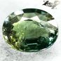 5.25 CT.Unheated Untreated Natural Oval 10*11.5 mm. Yellow Spark Green Sapphire