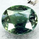 6.23 CT.Firely Unheated Natural Oval 10*12 mm. Vivid Forest Green Tanga Sapphire