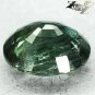 6.23 CT.Firely Unheated Natural Oval 10*12 mm. Vivid Forest Green Tanga Sapphire