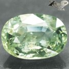 13.38 CT.Unheated Certified Natural Oval 12*16.5 mm. Lemon Green Sapphire 綠色藍寶石